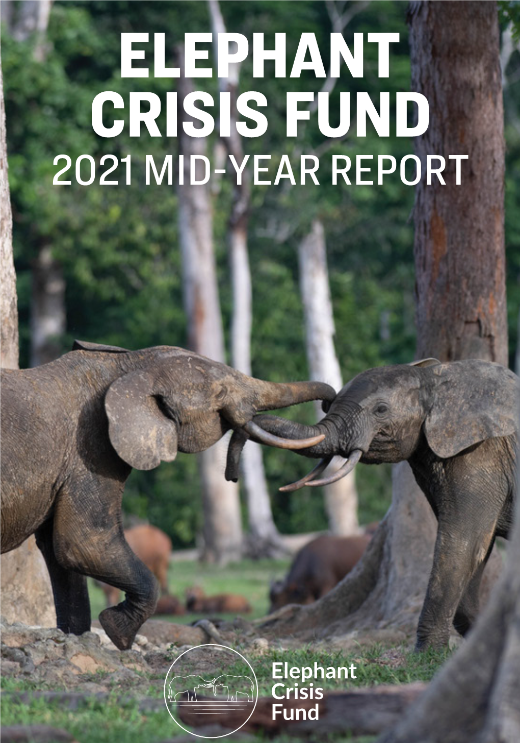 2021 Mid-Year Report