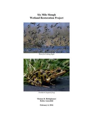 Six Mile Slough Wetland Restoration Project