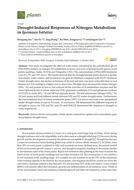 Drought-Induced Responses of Nitrogen Metabolism in Ipomoea Batatas