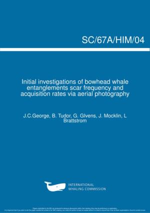 Initial Investigations of Bowhead Whale Entanglement Scar Frequency and Acquisition Rates Via Aerial Photography