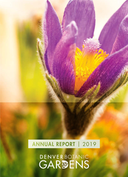 2019 Annualreport.Pdf