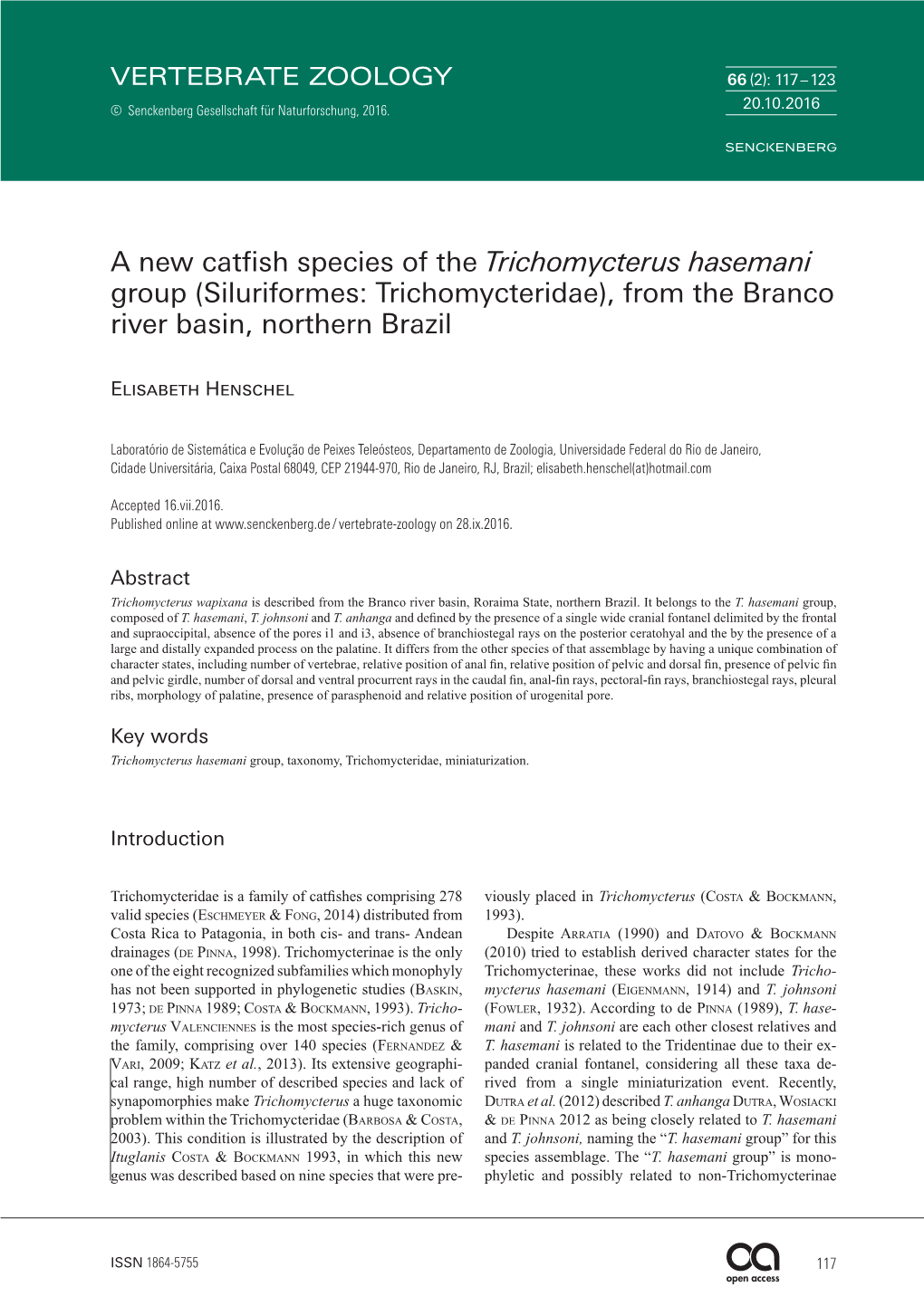 Siluriformes: Trichomycteridae), from the Branco River Basin, Northern Brazil