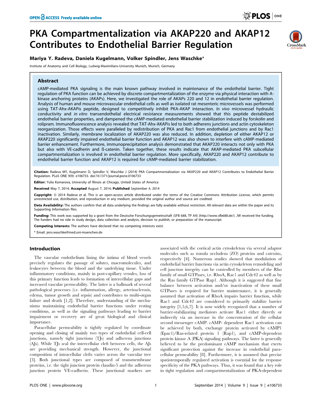 PKA Compartmentalization Via AKAP220 and AKAP12 Contributes to Endothelial Barrier Regulation