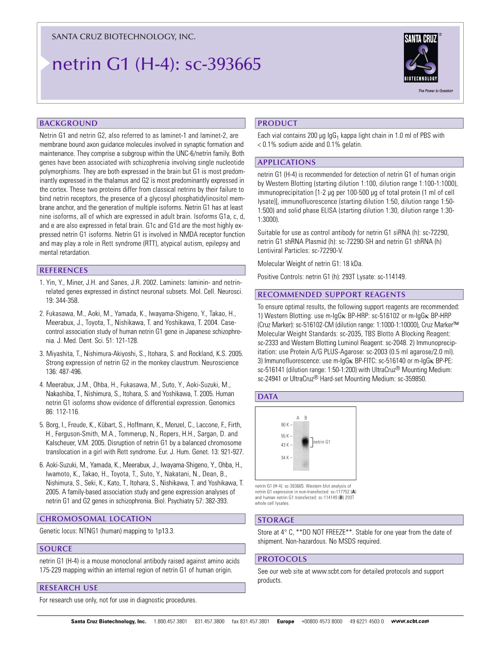 Datasheet Blank Template