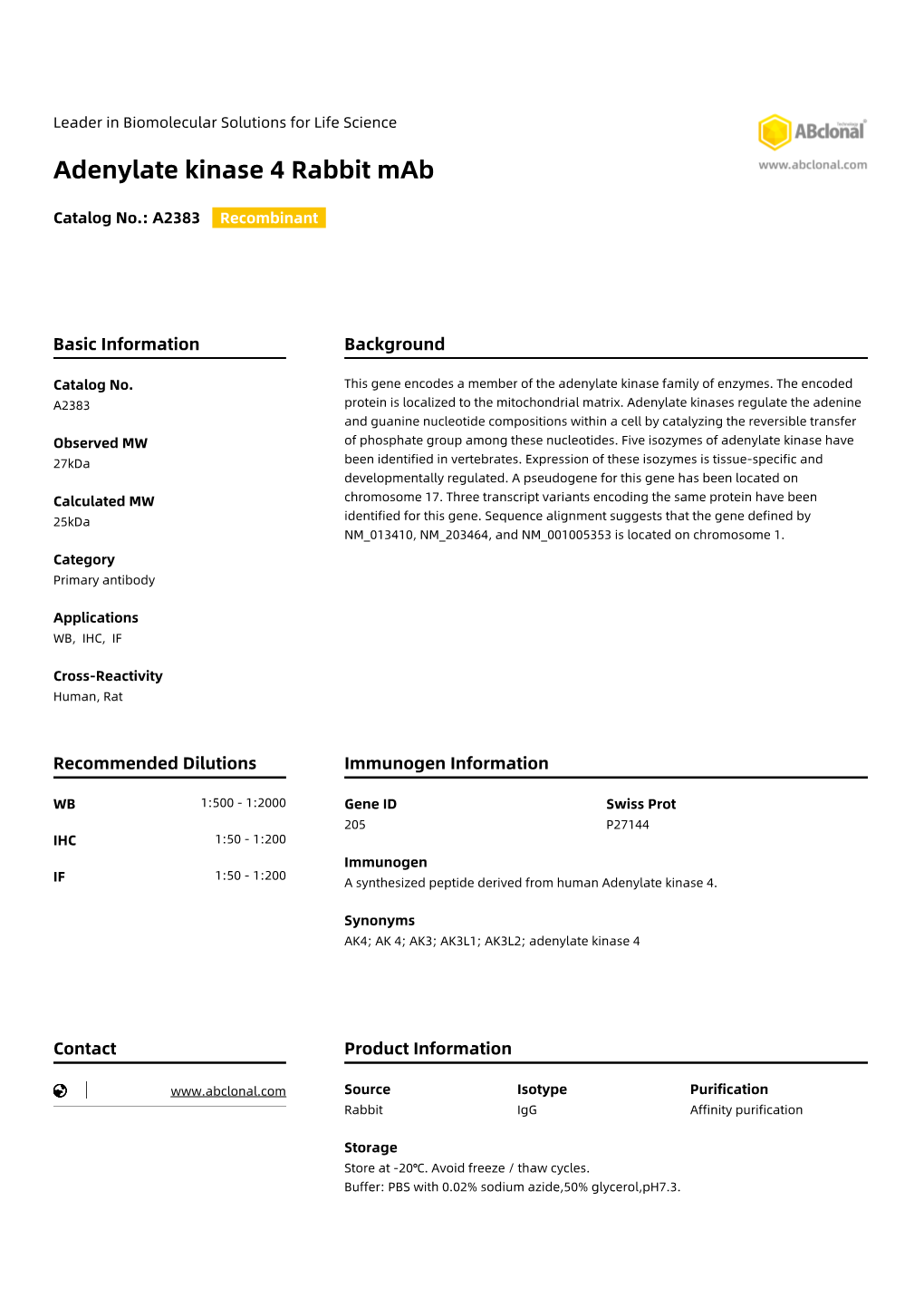 Adenylate Kinase 4 Rabbit Mab