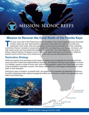 Mission to Recover the Coral Reefs of the Florida Keys