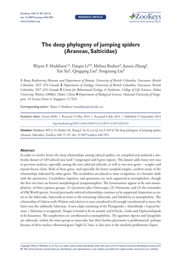 The Deep Phylogeny of Jumping Spiders (Araneae, Salticidae)