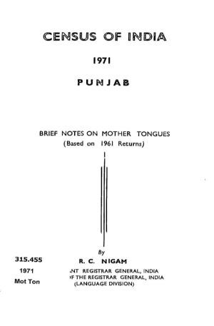 Brief Notes on Mother Tongues , Punjab