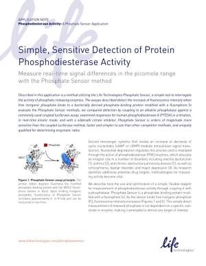 Simple, Sensitive Detection of Protein Phosphodiesterase Activity Measure Real-Time Signal Differences in the Picomole Range with the Phosphate Sensor Method