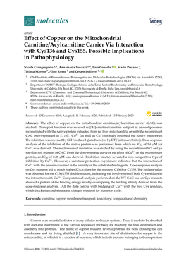 Effect of Copper on the Mitochondrial Carnitine/Acylcarnitine Carrier Via