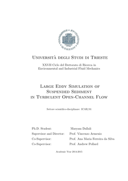 Universit`A Degli Studi Di Trieste Large Eddy Simulation of Suspended