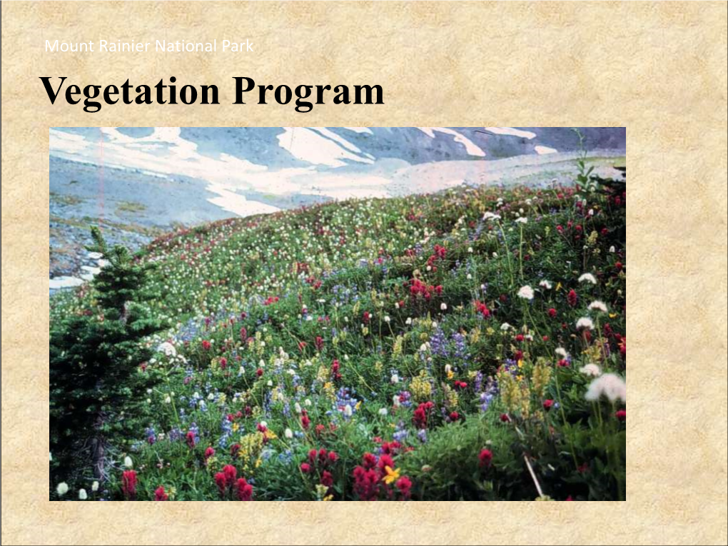 Vegetation Program