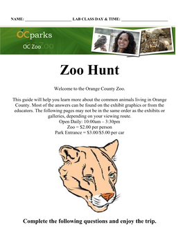 OC Zoo Hunt 2019