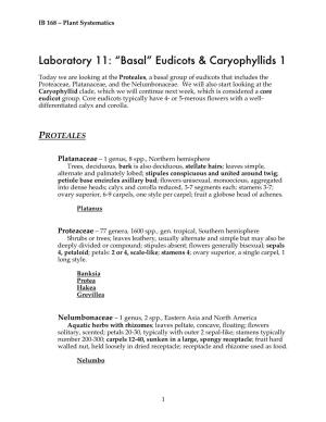 Laboratory 11: “Basal” Eudicots & Caryophyllids 1