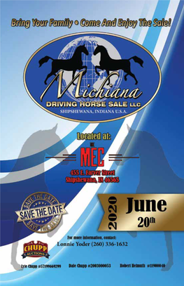 MDHS Summer Sale 2020 - Page 1 MDHS Summer Sale 2020 - Page 2 Michiana Driving Horse Sale LLC on June 20, 2020 at the Michiana Event Center