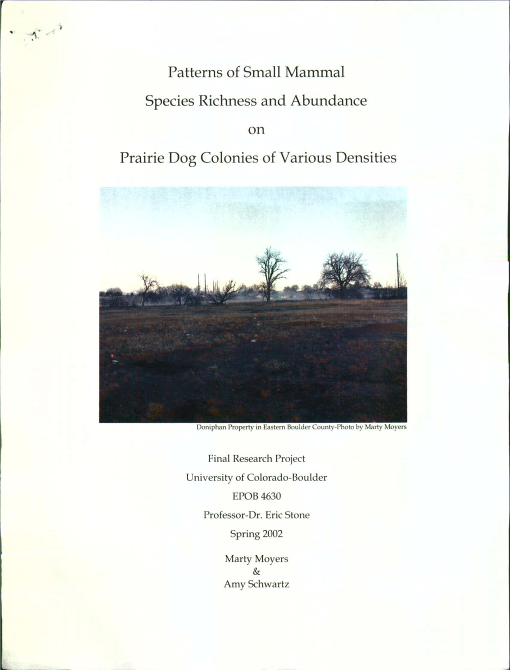 Patterns of Small Mammal Species Richness and Abundance on Prairie Dog Colonies of Various Densities