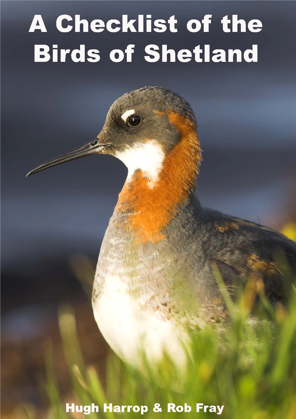 Checklist of the Birds of Shetland by Hugh Harrop & Rob Fray