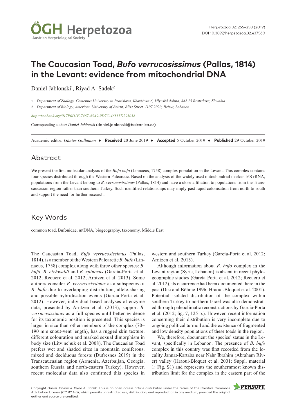 The Caucasian Toad, Bufo Verrucosissimus (Pallas, 1814) in the Levant: Evidence from Mitochondrial DNA