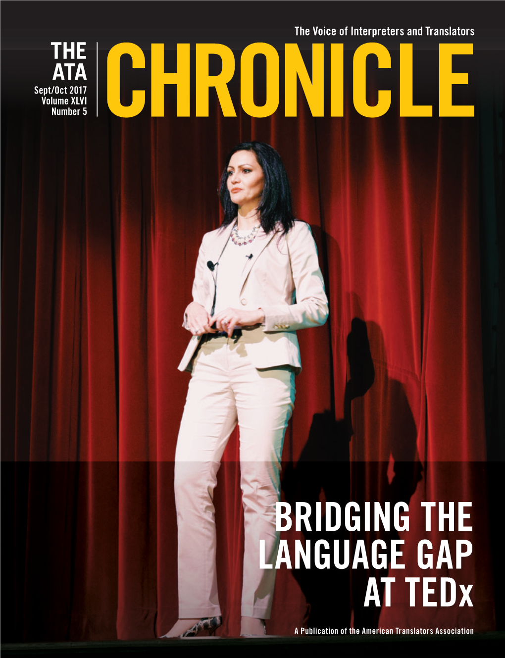 BRIDGING the LANGUAGE GAP at Tedx