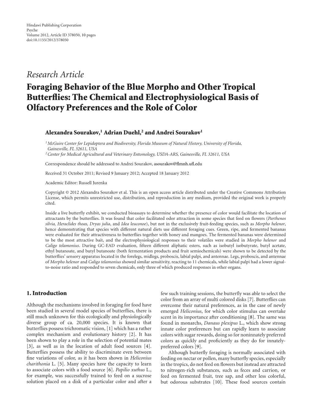 Research Article Foraging Behavior of the Blue Morpho