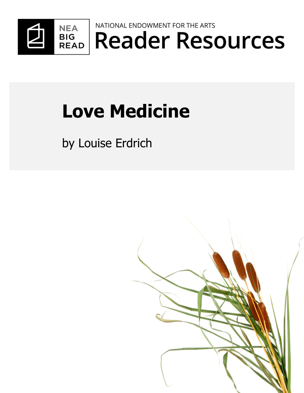 Love Medicine by Louise Erdrich