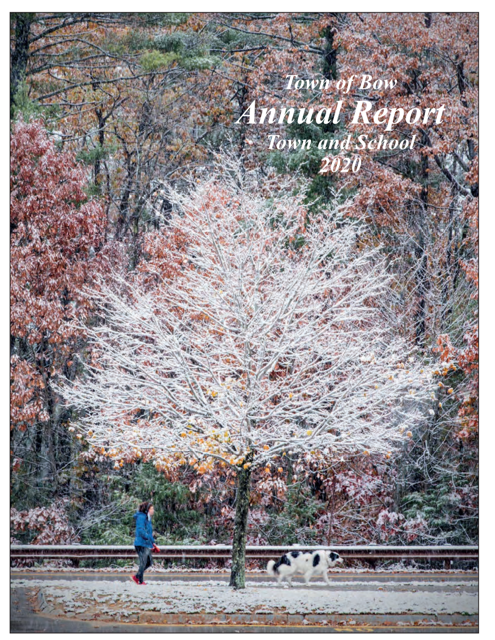 Annual Report Report Annual