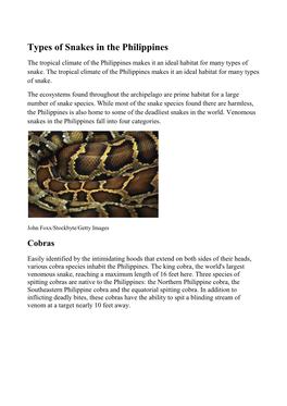 Types of Snakes in the Philippines