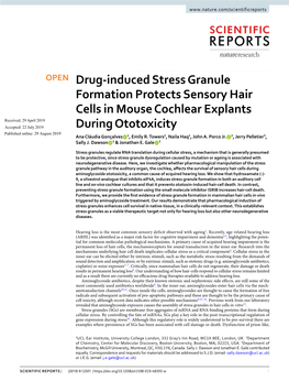 Drug-Induced Stress Granule Formation Protects Sensory Hair