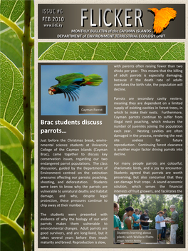 Brac Students Discuss Parrots…