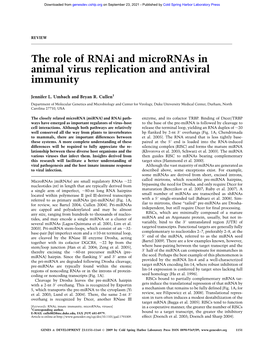 The Role of Rnai and Micrornas in Animal Virus Replication and Antiviral Immunity