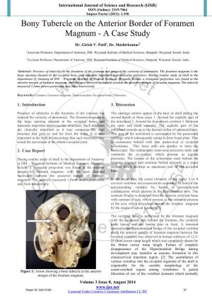 Bony Tubercle on the Anterior Border of Foramen Magnum - a Case Study