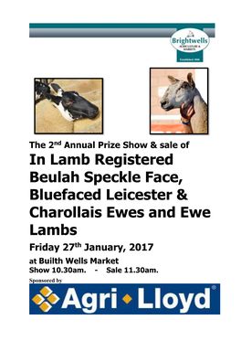 In Lamb Registered Beulah Speckle Face, Bluefaced Leicester & Charollais Ewes and Ewe