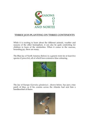 Three Jays Planting on Three Continents