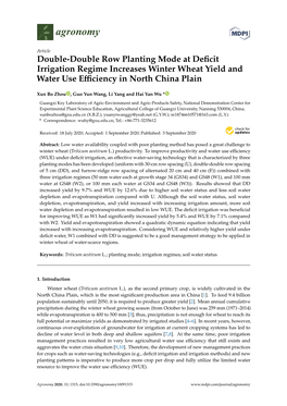 Double-Double Row Planting Mode at Deficit Irrigation Regime