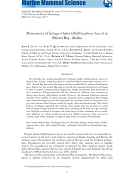 Movements of Beluga Whales (Delphinapterus Leucas) in Bristol