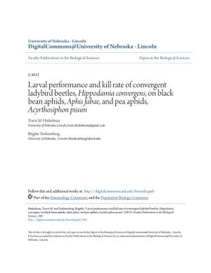 Larval Performance and Kill Rate of Convergent Ladybird Beetles