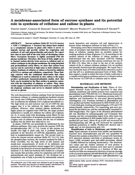 A Membrane-Associated Form of Sucrose Synthase and Its Potential Role in Synthesis of Cellulose and Callose in Plants YEHUDIT AMOR*, CANDACE H