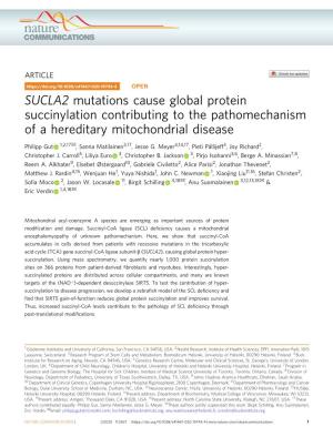SUCLA2 Mutations Cause Global Protein Succinylation Contributing To