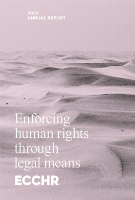 Enforcing Human Rights Through Legal Means USING the LAW
