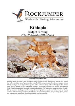 Ethiopia Budget Birding 3Rd to 14Th December 2021 (12 Days)
