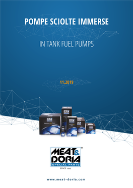 In Tank Fuel Pumps