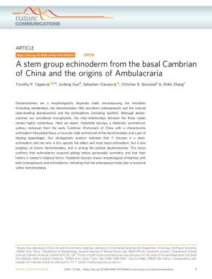 A Stem Group Echinoderm from the Basal Cambrian of China and the Origins of Ambulacraria