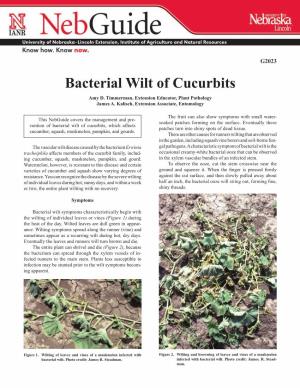 Bacterial Wilt of Cucurbits Amy D