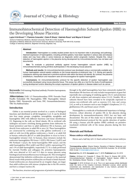 Immunohistochemical Detection of Haemoglobin Subunit Epsilon (HBE