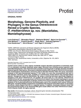 Morphology, Genome Plasticity, and Phylogeny in the Genus