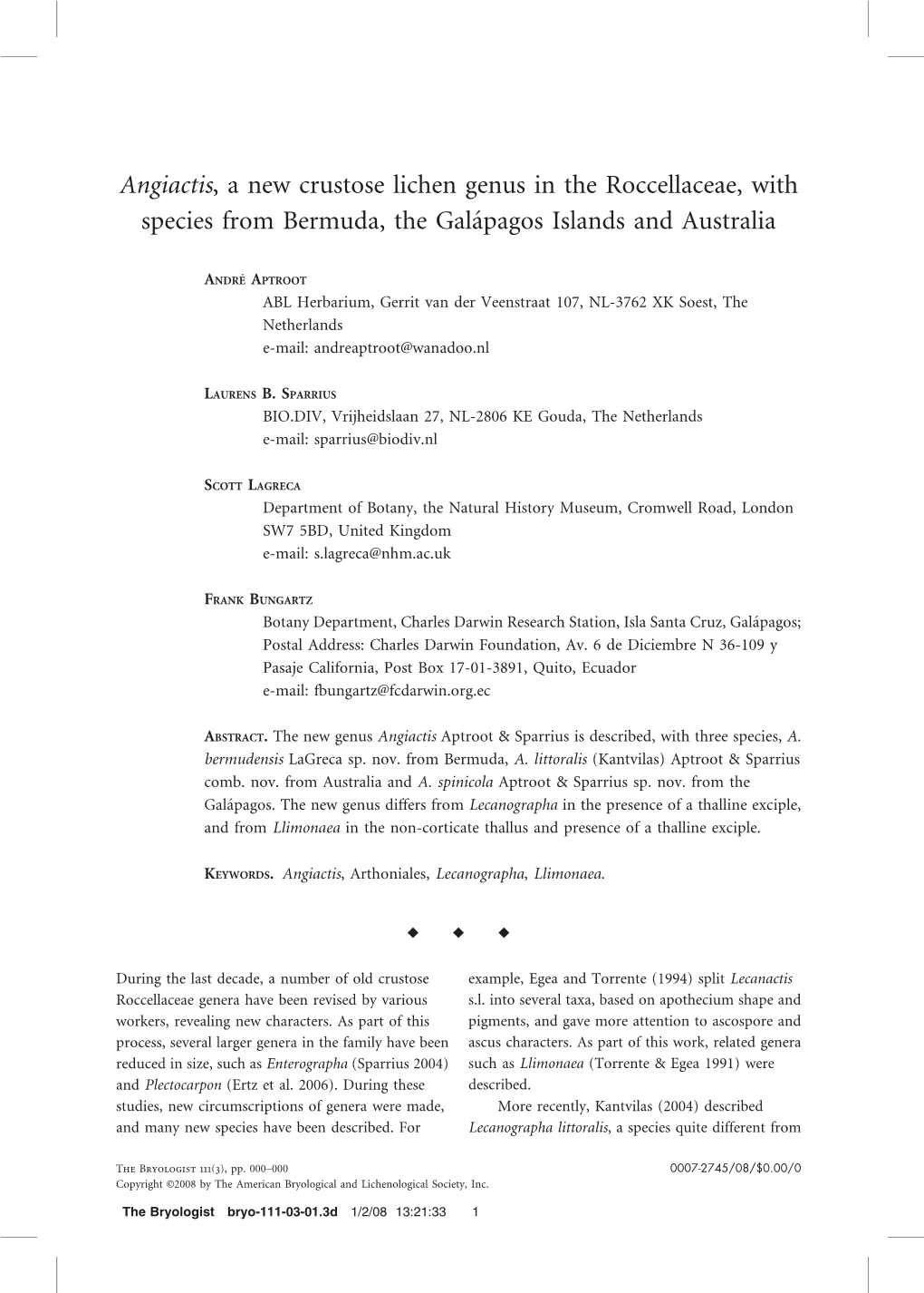 Angiactis, a New Crustose Lichen Genus in the Roccellaceae, with Species from Bermuda, the Galápagos Islands and Australia