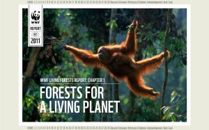 Wwf Living Forests Report: Chapter 1 Forests for a Living Planet
