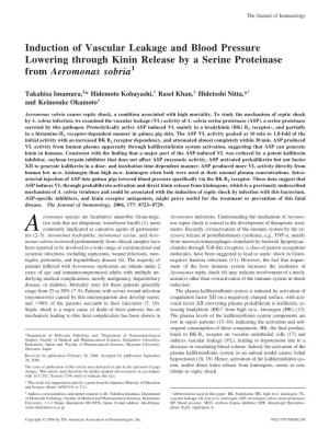 Aeromonas Sobria a Serine Proteinase from Pressure Lowering Through Kinin Release by Induction of Vascular Leakage and Blood