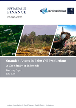 Stranded Assets in Palm Oil Production: a Case Study of Indonesia Working Paper July 2016