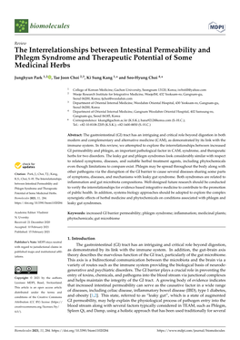 The Interrelationships Between Intestinal Permeability and Phlegm Syndrome and Therapeutic Potential of Some Medicinal Herbs